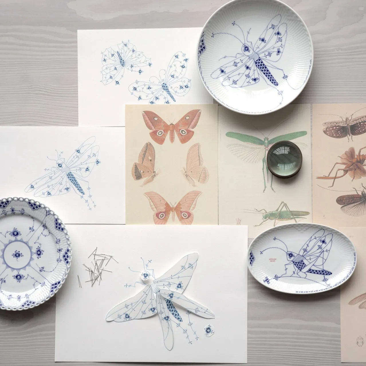 Royal Creatures Shallow Bowl, Grasshopper, 25 cm